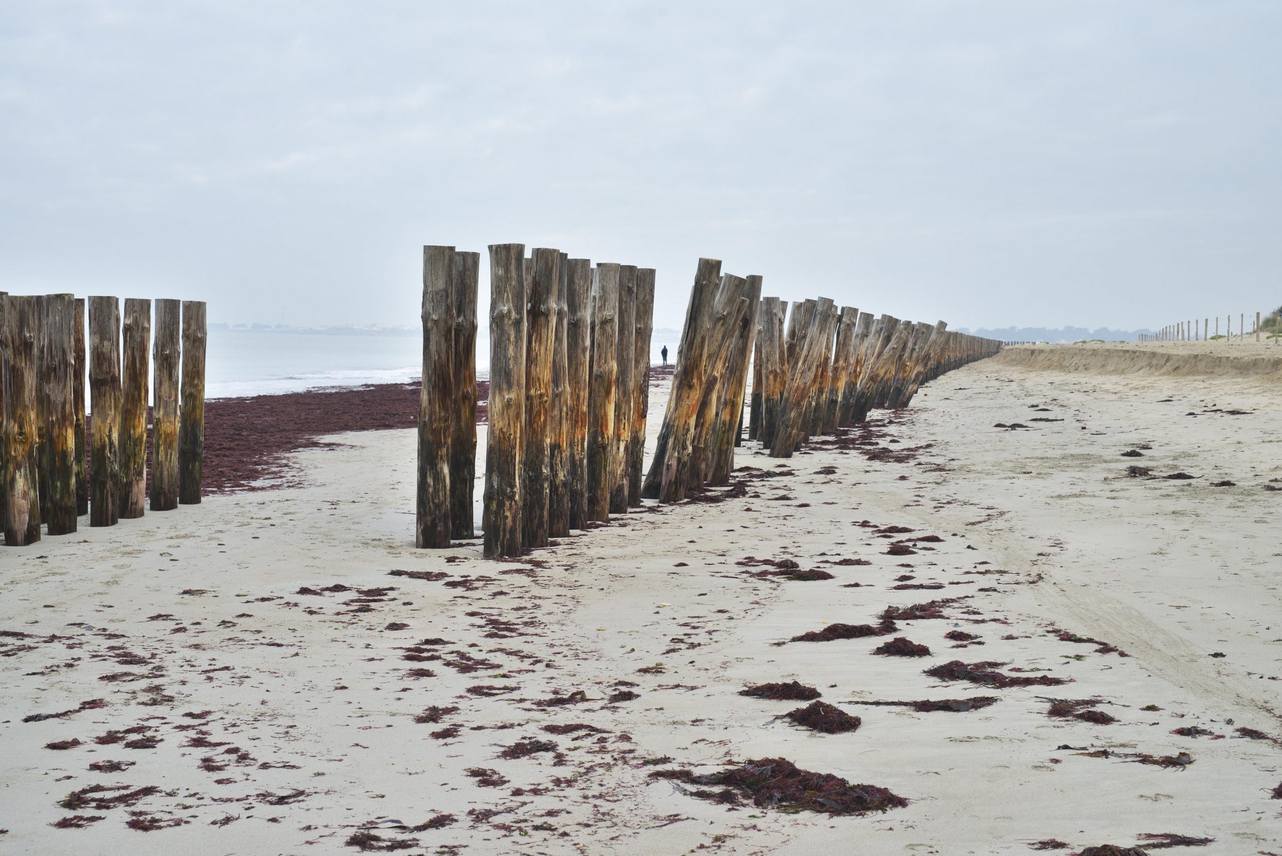 Noirmoutier